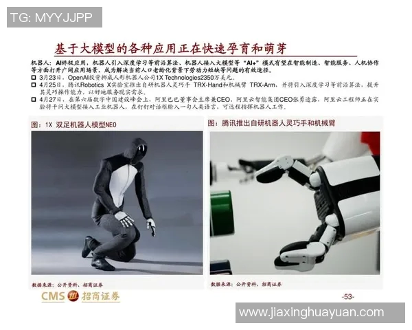 重庆攀岩队的进攻策略与训练方法深度解析