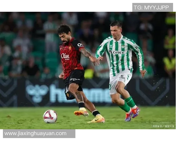 罗马与马德里竞技精彩对决集锦回顾与分析