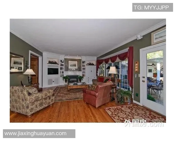 车士打菲特与布的较量揭示投资智慧与市场策略的深刻对比