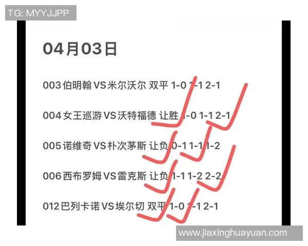 2018年世界杯小组赛丹麦对法国精彩战绩回顾与分析